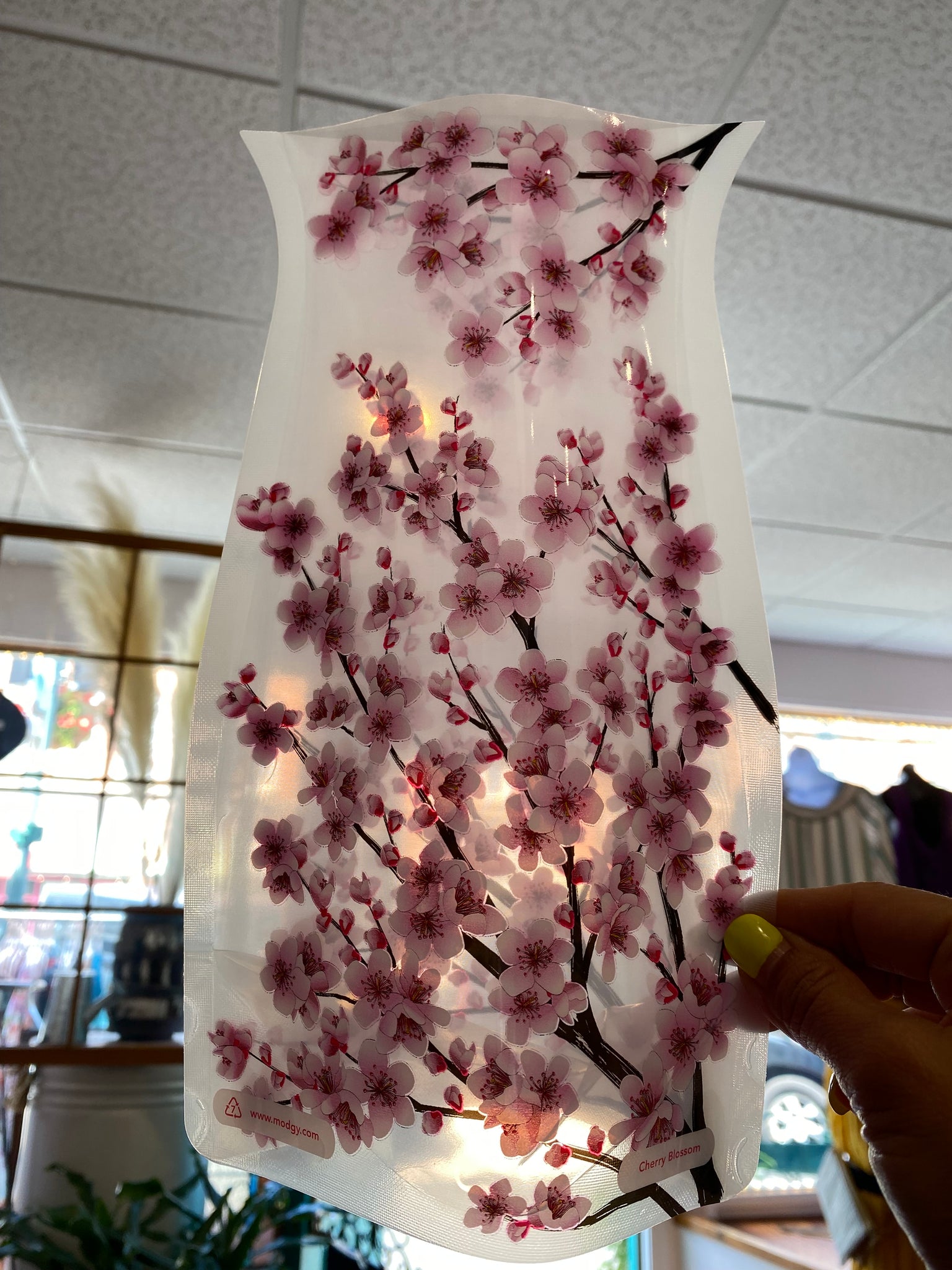 Cherry Blossom Reusable Vase